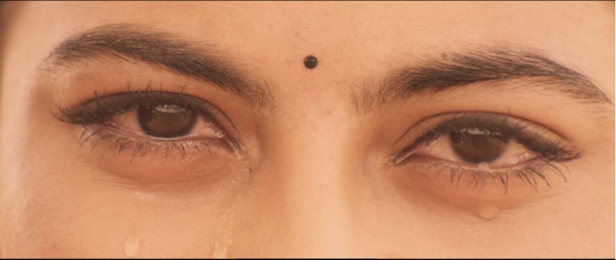 பரியேறும் பெருமாள் – நின்றாடும்&nbsp;நிஜம்