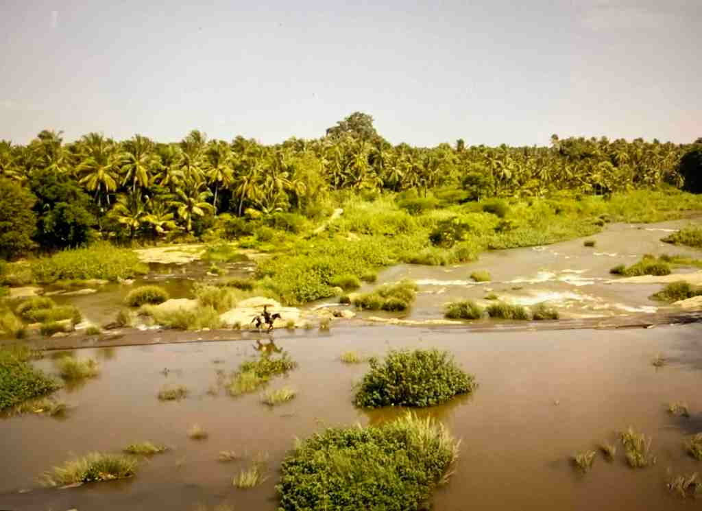 அழகியை அறிய மூன்று&nbsp;நூல்கள்
